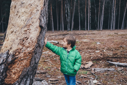 boy leaning on tree